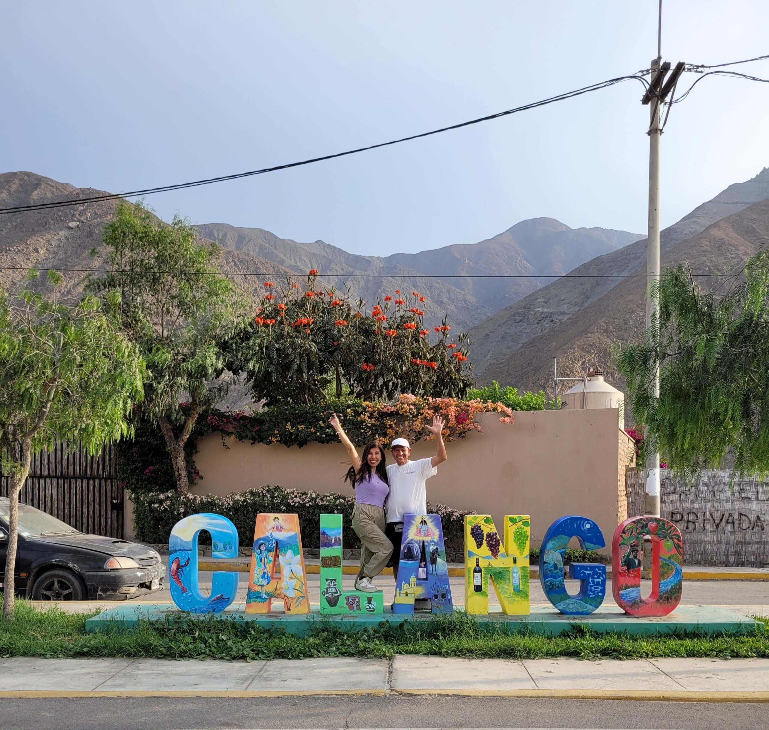 6e8985c4-fcd8-4d71-9900-a7b2ca349f00